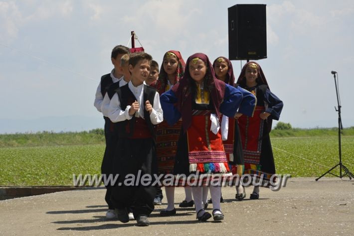 alexandriamou.gr_trikala28.5.2018143